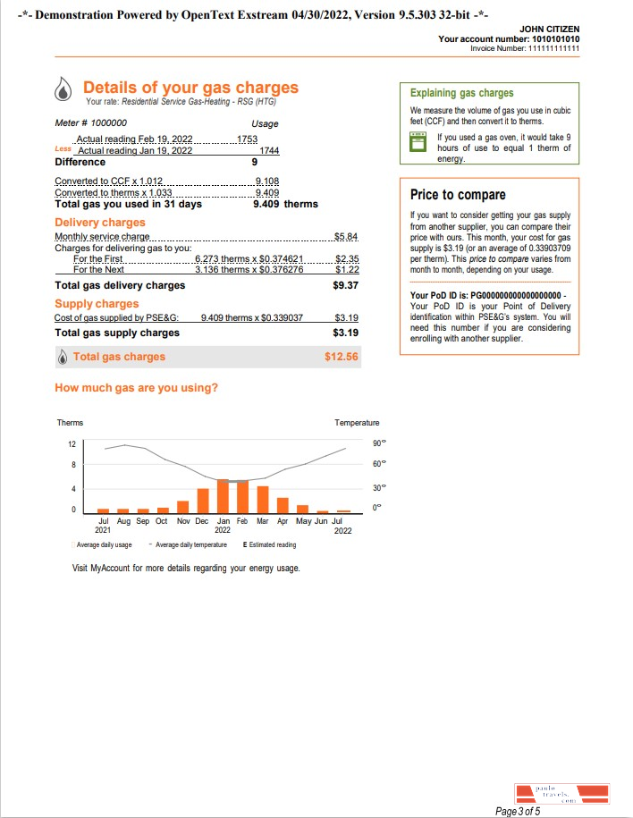USA New York PSEG utility bill, Word and PDF template, 5 pages 3